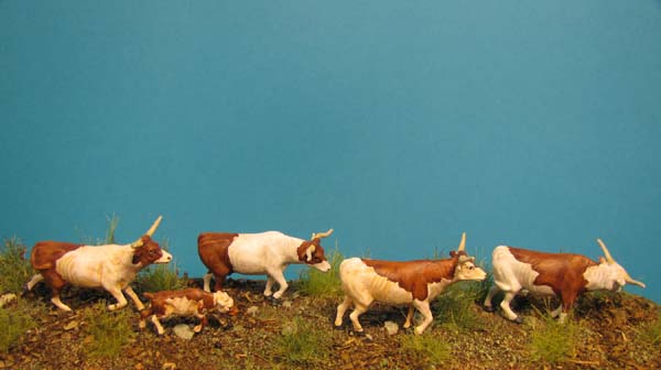 Old West - Longhorns